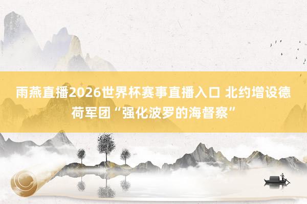 雨燕直播2026世界杯赛事直播入口 北约增设德荷军团“强化波罗的海督察”
