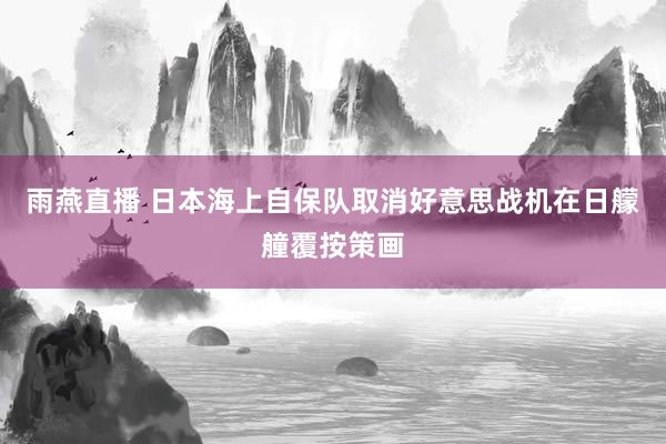 雨燕直播 日本海上自保队取消好意思战机在日艨艟覆按策画
