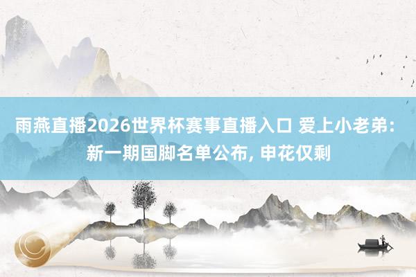 雨燕直播2026世界杯赛事直播入口 爱上小老弟: 新一期国脚名单公布, 申花仅剩