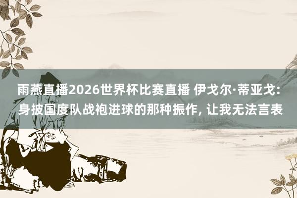 雨燕直播2026世界杯比赛直播 伊戈尔·蒂亚戈: 身披国度队战袍进球的那种振作, 让我无法言表