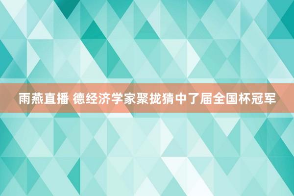 雨燕直播 德经济学家聚拢猜中了届全国杯冠军