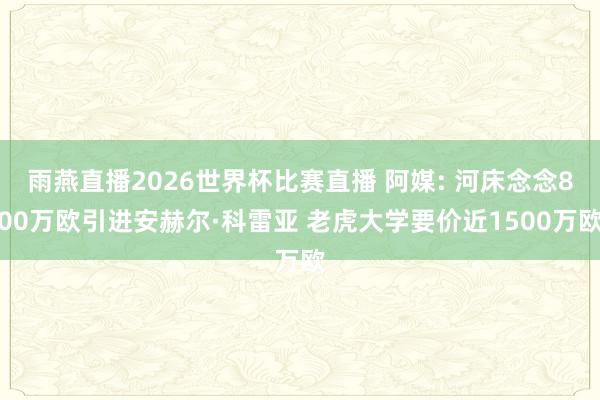 雨燕直播2026世界杯比赛直播 阿媒: 河床念念800万欧引进安赫尔·科雷亚 老虎大学要价近1500万欧