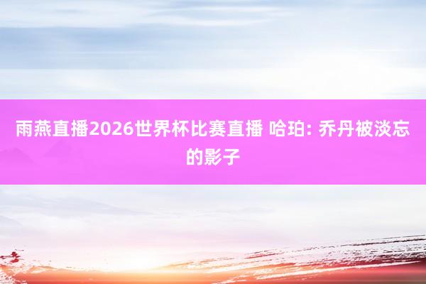 雨燕直播2026世界杯比赛直播 哈珀: 乔丹被淡忘的影子