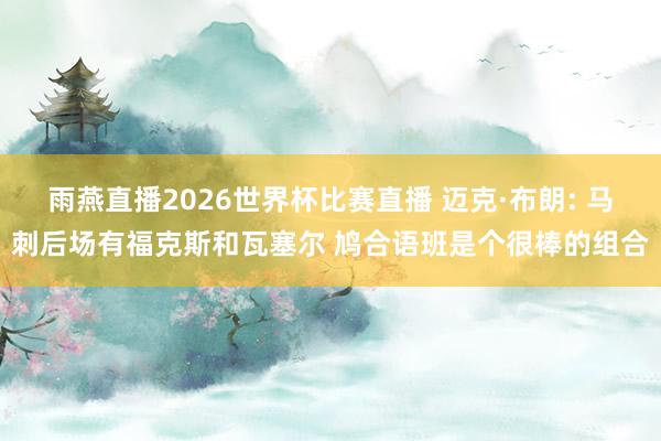 雨燕直播2026世界杯比赛直播 迈克·布朗: 马刺后场有福克斯和瓦塞尔 鸠合语班是个很棒的组合