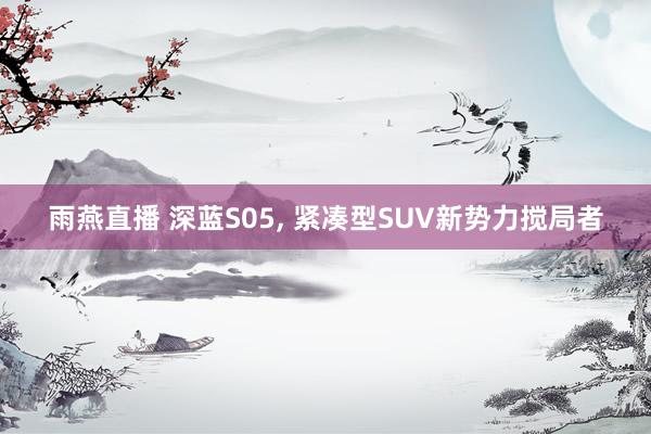 雨燕直播 深蓝S05, 紧凑型SUV新势力搅局者