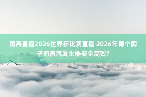 雨燕直播2026世界杯比赛直播 2026年哪个牌子的蒸汽发生器安全高效?