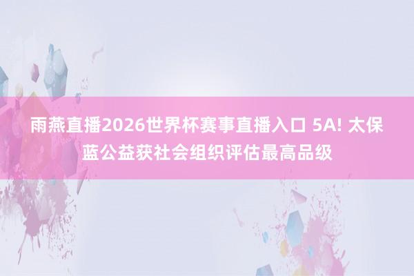 雨燕直播2026世界杯赛事直播入口 5A! 太保蓝公益获社会组织评估最高品级