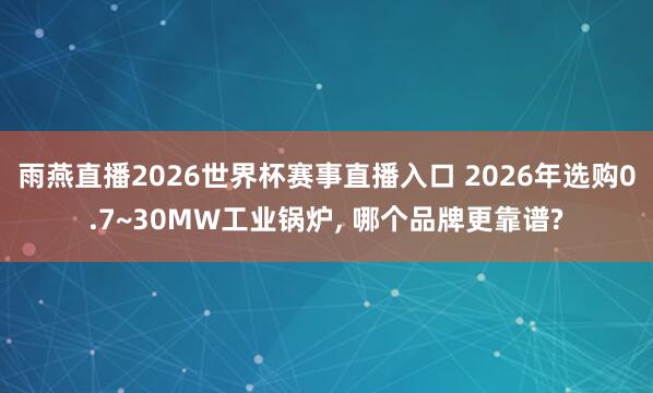 雨燕直播2026世界杯赛事直播入口 2026年选购0.7~30MW工业锅炉, 哪个品牌更靠谱?