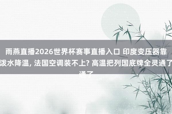 雨燕直播2026世界杯赛事直播入口 印度变压器靠泼水降温, 法国空调装不上? 高温把列国底牌全灵通了
