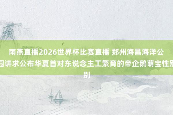 雨燕直播2026世界杯比赛直播 郑州海昌海洋公园讲求公布华夏首对东说念主工繁育的帝企鹅萌宝性别