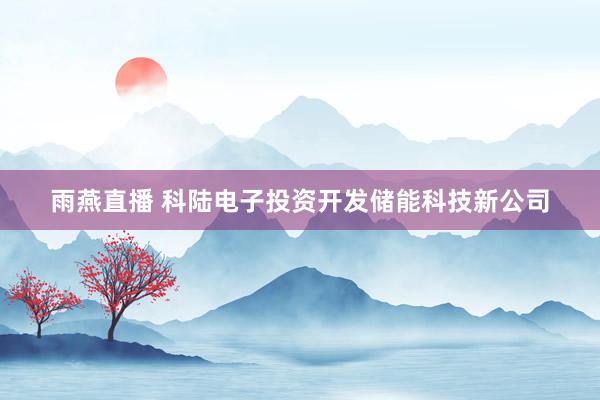 雨燕直播 科陆电子投资开发储能科技新公司