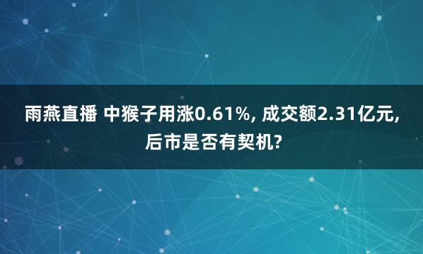 雨燕直播 中猴子用涨0.61%, 成交额2.31亿元, 后市是否有契机?