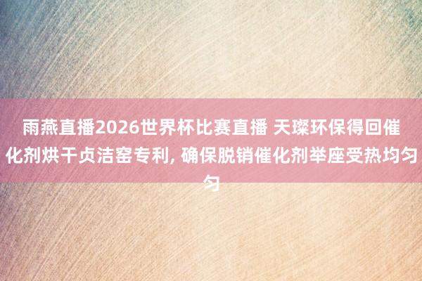 雨燕直播2026世界杯比赛直播 天璨环保得回催化剂烘干贞洁窑专利, 确保脱销催化剂举座受热均匀