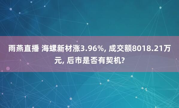 雨燕直播 海螺新材涨3.96%, 成交额8018.21万元, 后市是否有契机?