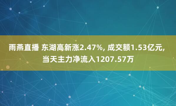 雨燕直播 东湖高新涨2.47%, 成交额1.53亿元, 当天主力净流入1207.57万