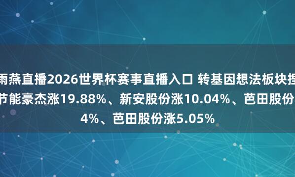 雨燕直播2026世界杯赛事直播入口 转基因想法板块捏续发力, 节能豪杰涨19.88%、新安股份涨10.04%、芭田股份涨5.05%