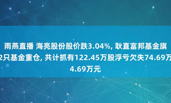 雨燕直播 海亮股份股价跌3.04%, 耿直富邦基金旗下2只基金重仓, 共计抓有122.45万股浮亏欠失74.69万元