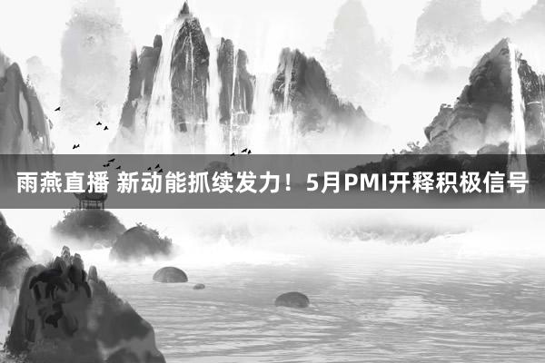 雨燕直播 新动能抓续发力！5月PMI开释积极信号