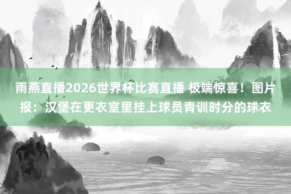 雨燕直播2026世界杯比赛直播 极端惊喜！图片报：汉堡在更衣室里挂上球员青训时分的球衣