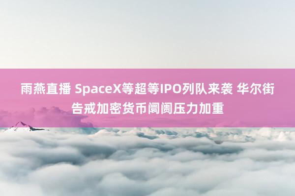 雨燕直播 SpaceX等超等IPO列队来袭 华尔街告戒加密货币阛阓压力加重