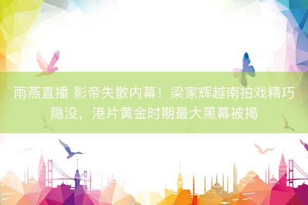 雨燕直播 影帝失散内幕！梁家辉越南拍戏精巧隐没，港片黄金时期最大黑幕被揭