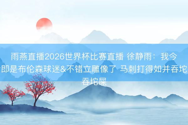 雨燕直播2026世界杯比赛直播 徐静雨：我今后即是布伦森球迷&不错立雕像了 马刺打得如并吞坨屎