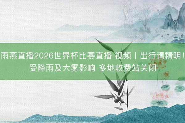 雨燕直播2026世界杯比赛直播 视频丨出行请精明！受降雨及大雾影响 多地收费站关闭