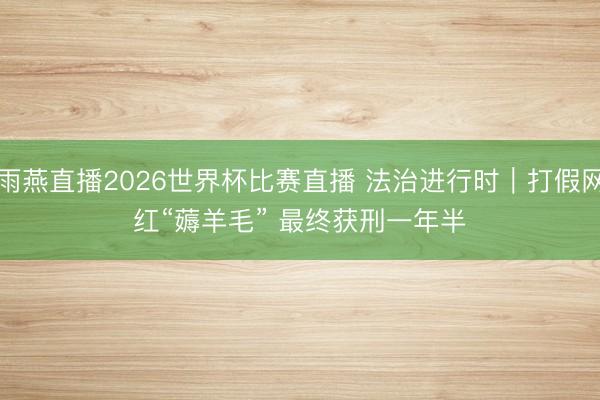 雨燕直播2026世界杯比赛直播 法治进行时｜打假网红“薅羊毛” 最终获刑一年半