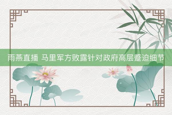 雨燕直播 马里军方败露针对政府高层蹙迫细节