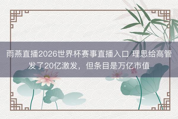 雨燕直播2026世界杯赛事直播入口 理思给高管发了20亿激发，但条目是万亿市值