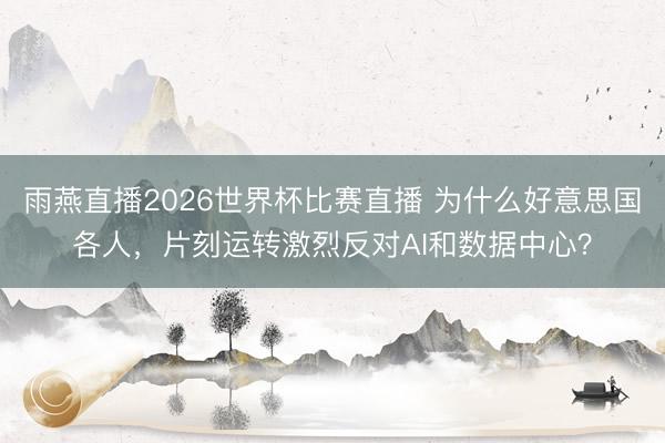 雨燕直播2026世界杯比赛直播 为什么好意思国各人,片刻运转激烈反对AI和数据中心?