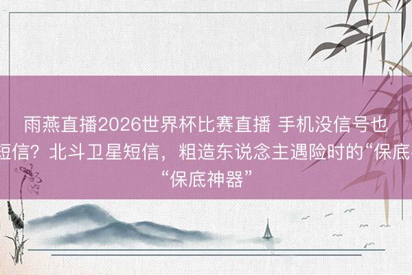 雨燕直播2026世界杯比赛直播 手机没信号也能发短信?北斗卫星短信,粗造东说念主遇险时的“保底神器”