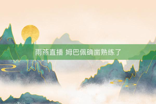 雨燕直播 姆巴佩确凿熟练了